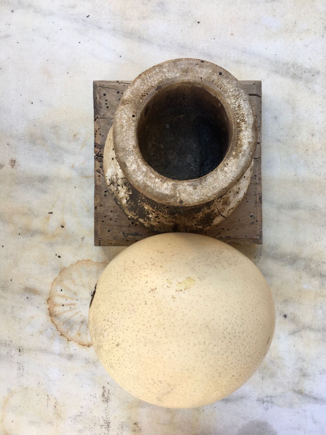 Ostrich egg