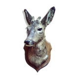 Taxidermy. Young deer. Hunting trophy. 1960's. Decoration cottage, cabin, country house. Curiosity cabinet