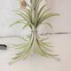 Lampadaire Pastel Bouquet De Fleurs Années 1960 Vintage Italien Gerbe De Blé Midcentury