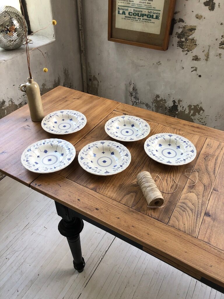 5 hollow plates Myott Finlandia