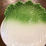 Fennel plate slurry