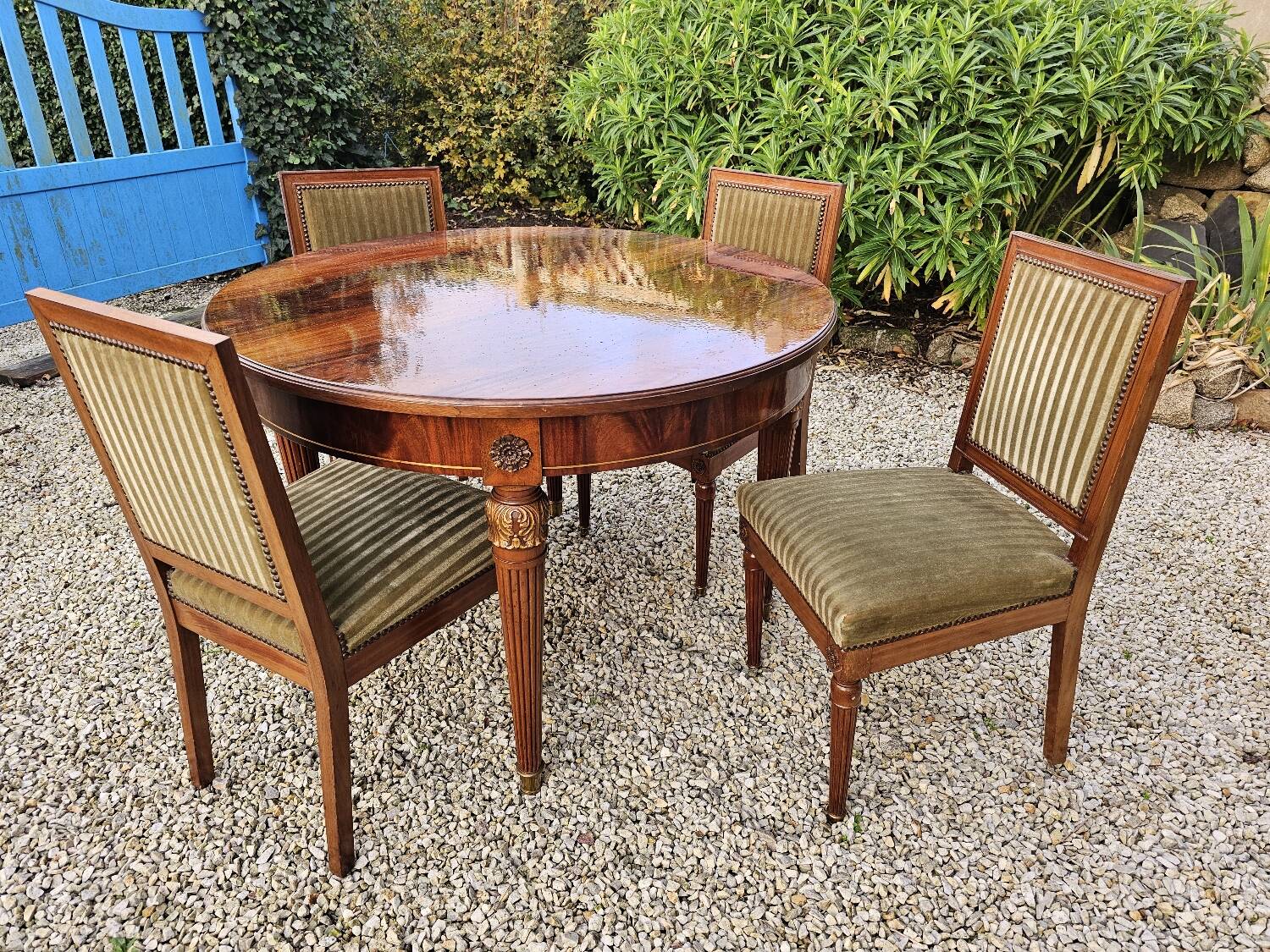 Set of 4 mahogany and velvet chairs