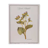 Great Bardane botanical board