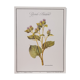 Great Bardane botanical board