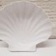 Vide poche coquille