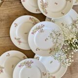 Set of 10 vintage porcelain dessert plates
