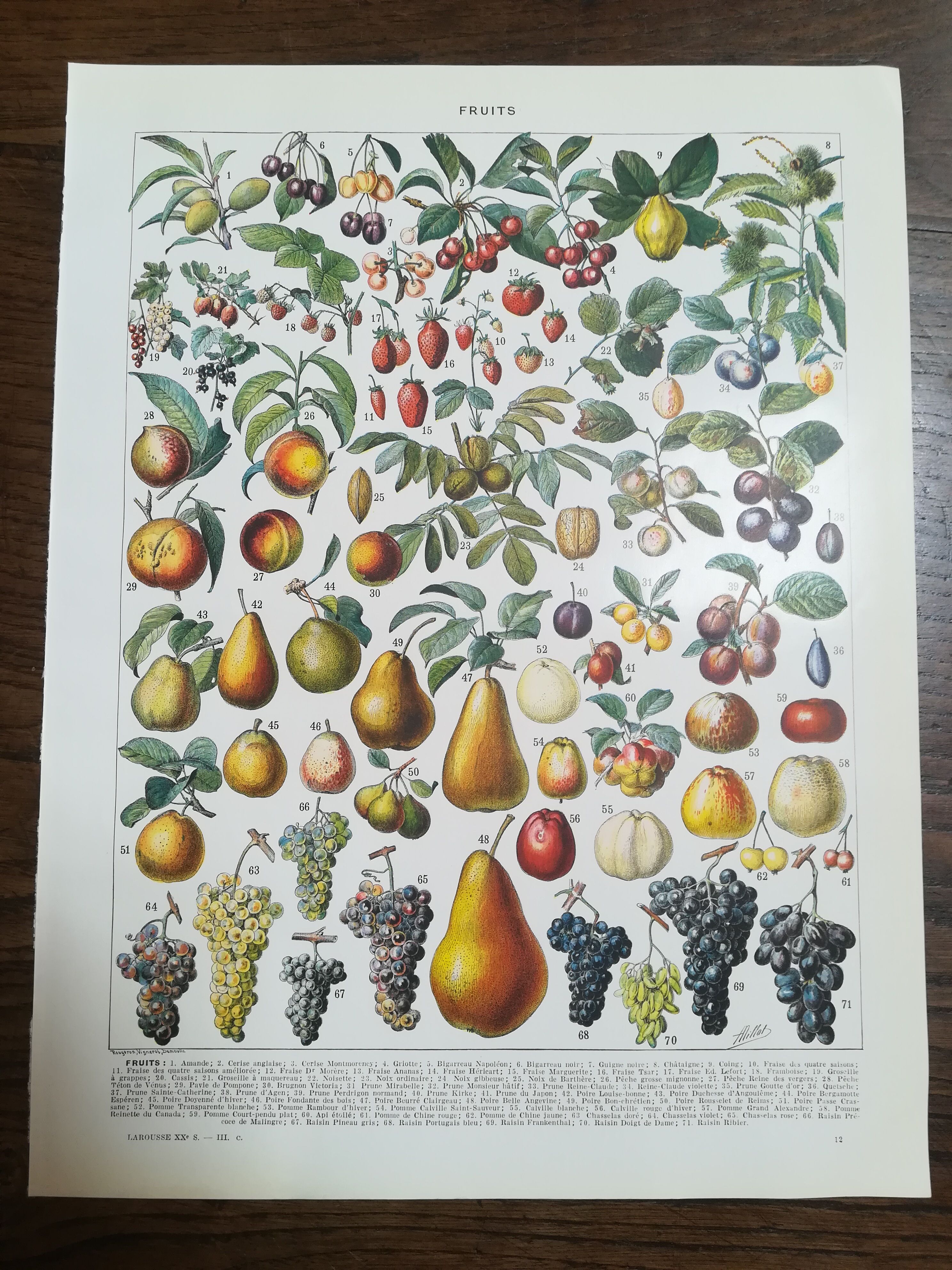 Lithographs on vegetables fruits and eggs