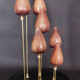 Cabinet of Curiosities shells conus figulinus