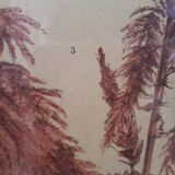 Poster ancient botanical flowers