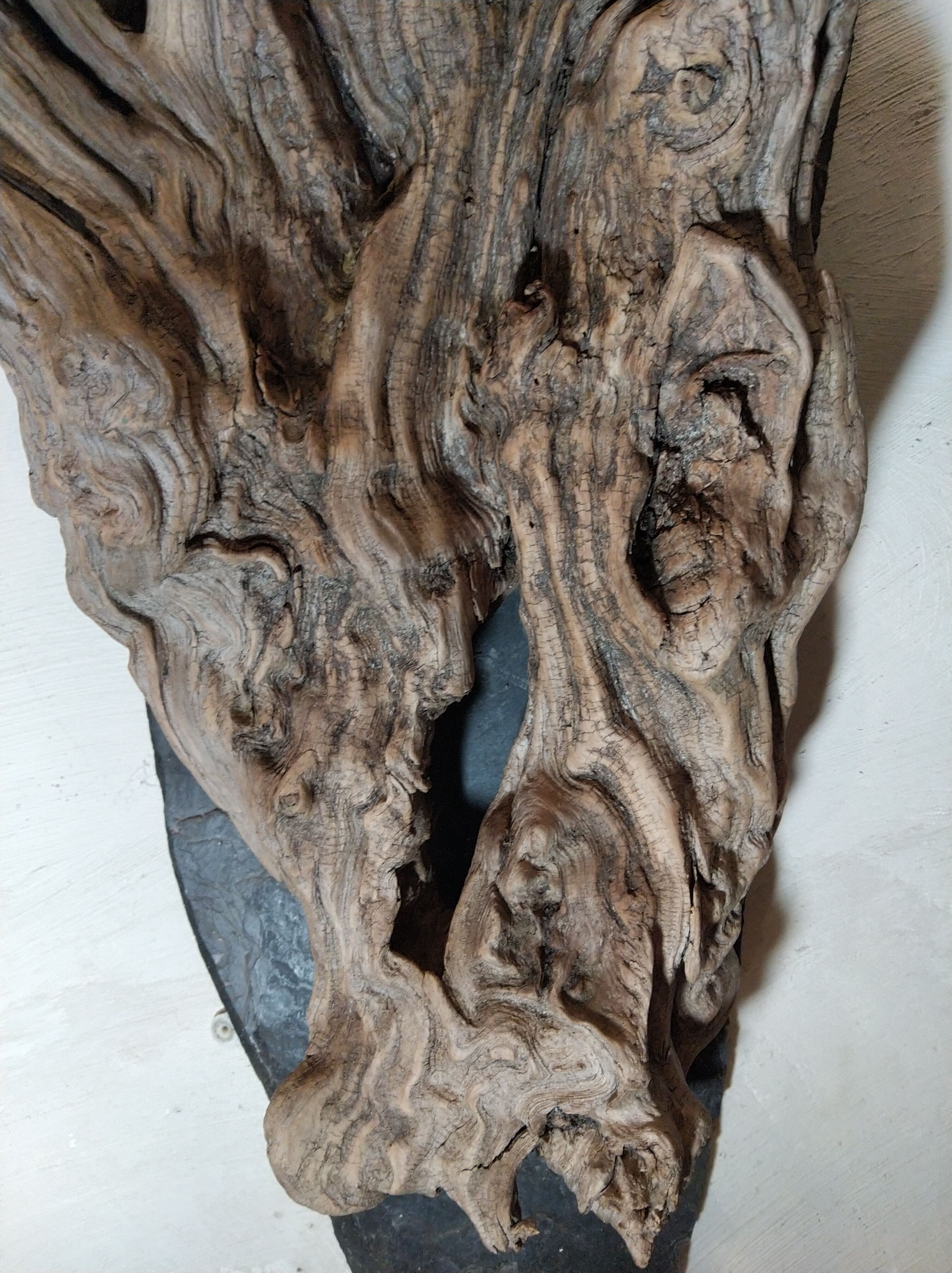 Natural wood sculptural coat rack