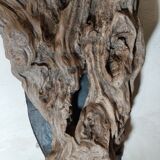 Natural wood sculptural coat rack