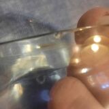 Wasp trap or fly catcher