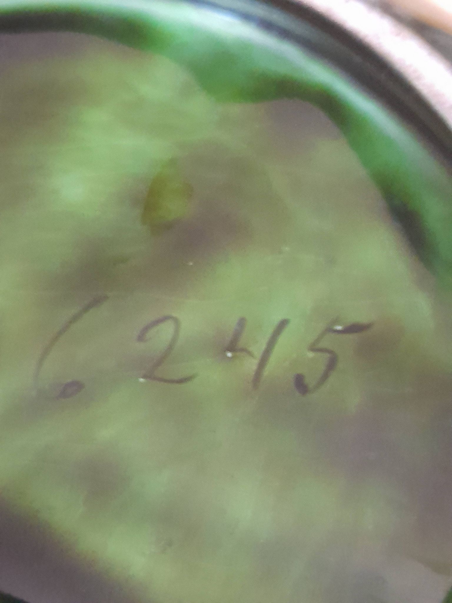 Barbotine dish walnut leaf Ernst Wahliss Turn-Wien Austria