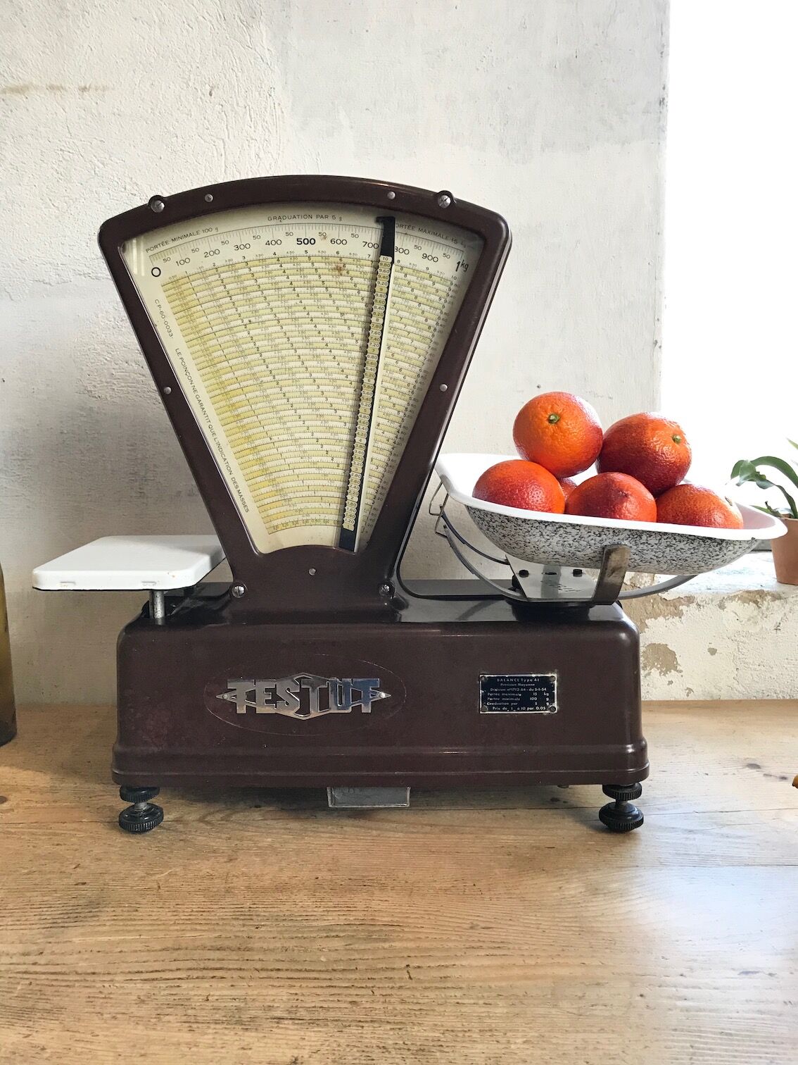 Testut scale in bakelite