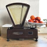 Testut scale in bakelite