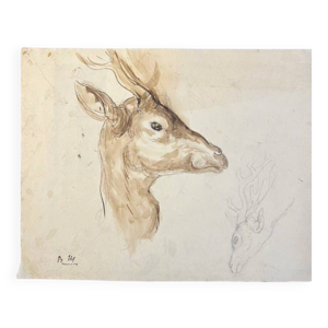 Dessin animalier original