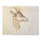 Original animal drawing by Berthe Martinie