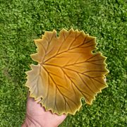 Vide poche Feuille Automne