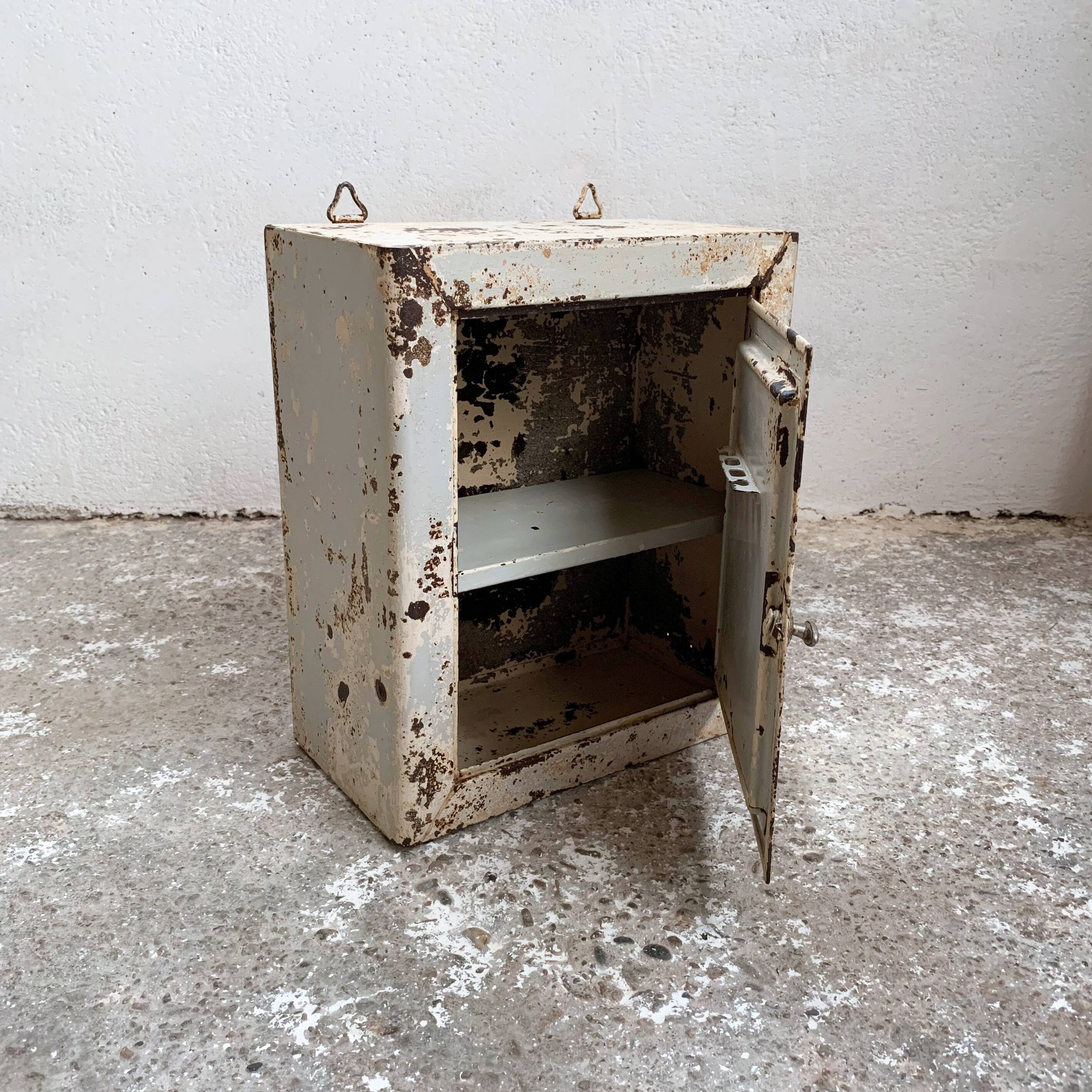 Pharmacy or toilet cabinet