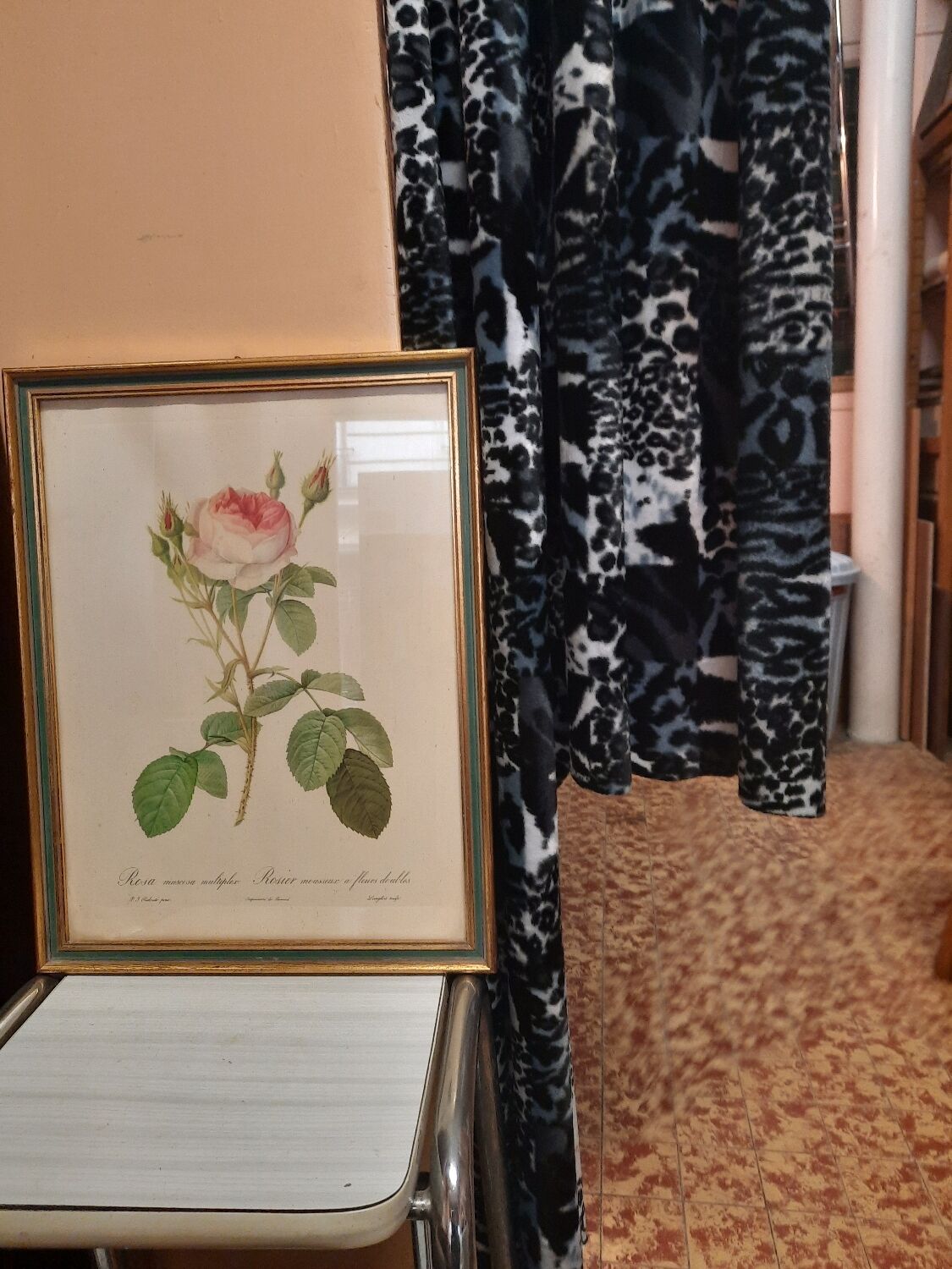 Framed botanical plate