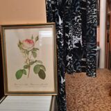 Framed botanical plate