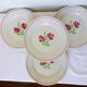 4 K and G Luneville flat plates, Rose Mai model