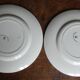 2 assiettes anciennes Creil & Montereau Service Chardonneret oiseaux**8 autres dispos