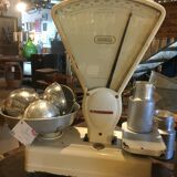 Berkel market gardener's scale