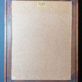 Ancient herbarium