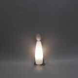 Set of 2 wall sconces _closes of Philips 1950 s
