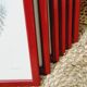 Lot de 7 chromolithographies oiseaux années 50