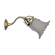 Brass gooseneck wall lamp and tulip lampshade