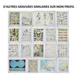 Gravure ancienne 1898, Chapiteau, poteau, architecture • Lithographie, Planche originale