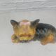 Ceramic Yorkshire Terrier lying down signed made in Italy