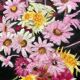 Vintage flower painting, original frame