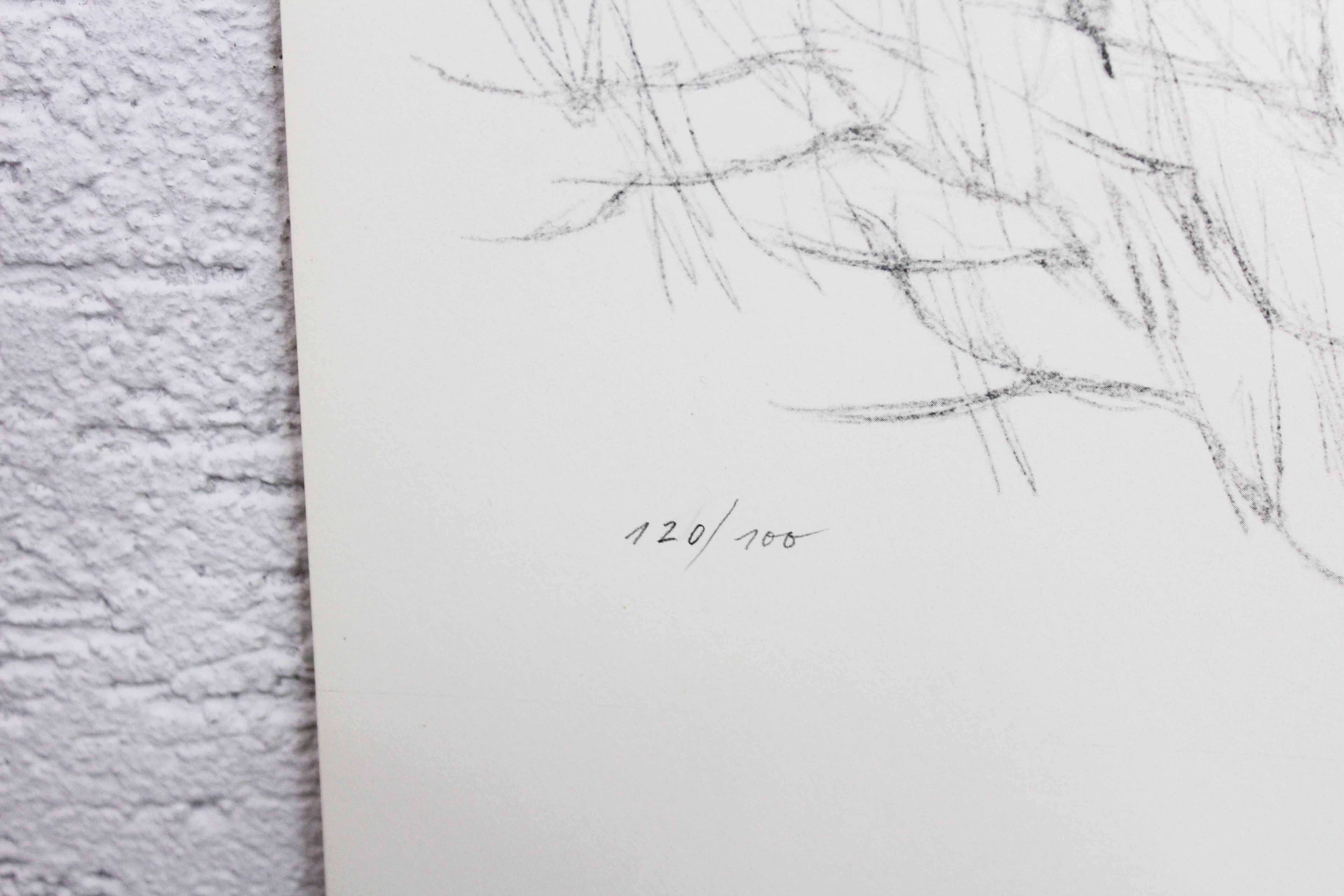 Lithograph by Alfred Meier 1972 "editing pins"