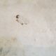 Big flat oval stoneware vintage