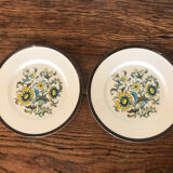Lot 2 assiettes Pagnossin
