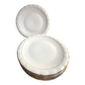 6 Limoges porcelain dinner plates signed P. Dessagne in very good condition