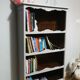 Petite bibliothèque / étagère