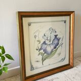Iris flower on paper with vintage wooden frame