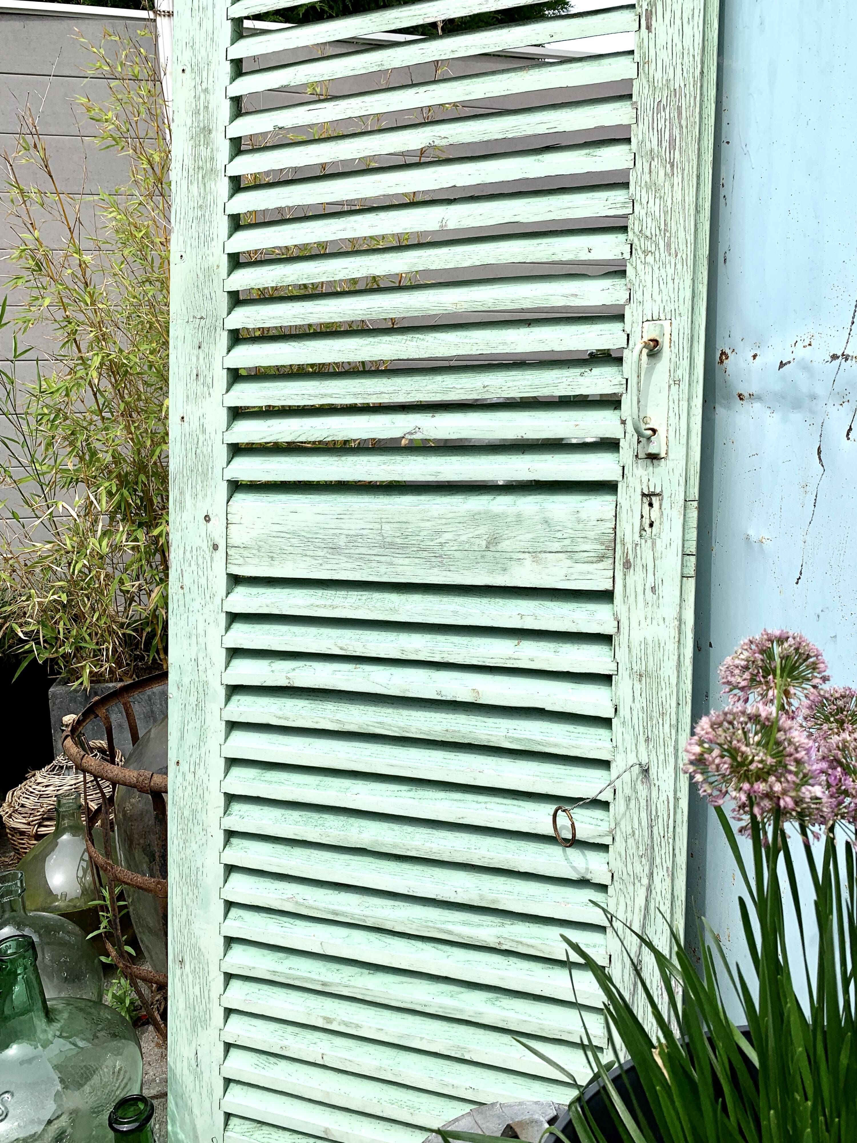 Old wood volet mint color