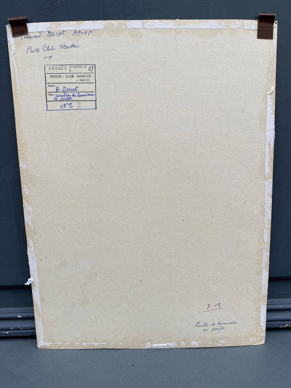 Film photograph by bernard darot, afiap club nantais, flow of light in the forest