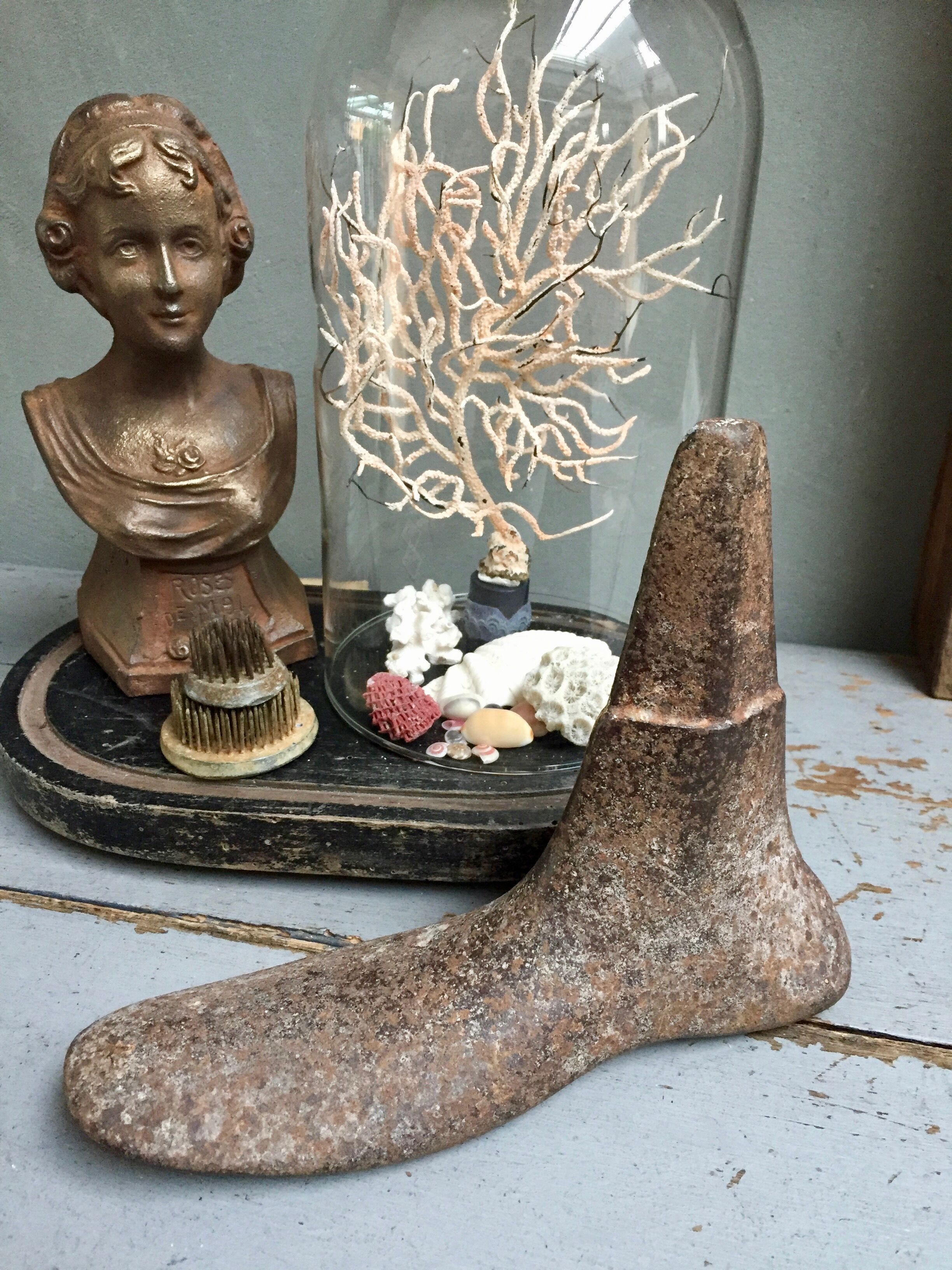 Former cobbler's anclume