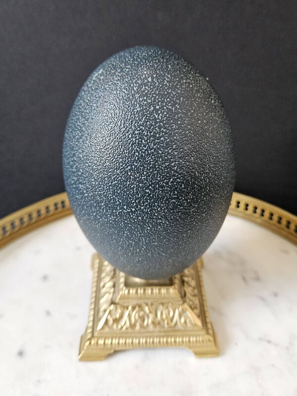 Oeuf d'Émeu, Socle Laiton (Début XXè) H : 16 cm   Objet de Curiosité