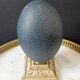 Emu Egg, Brass Base (Early 20th Century) H: 16 cm | Curiosity Item