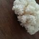 Ancient coral
