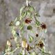 Large flower and leaf chandelier, hand-painted sheet metal, Italy, 1940s