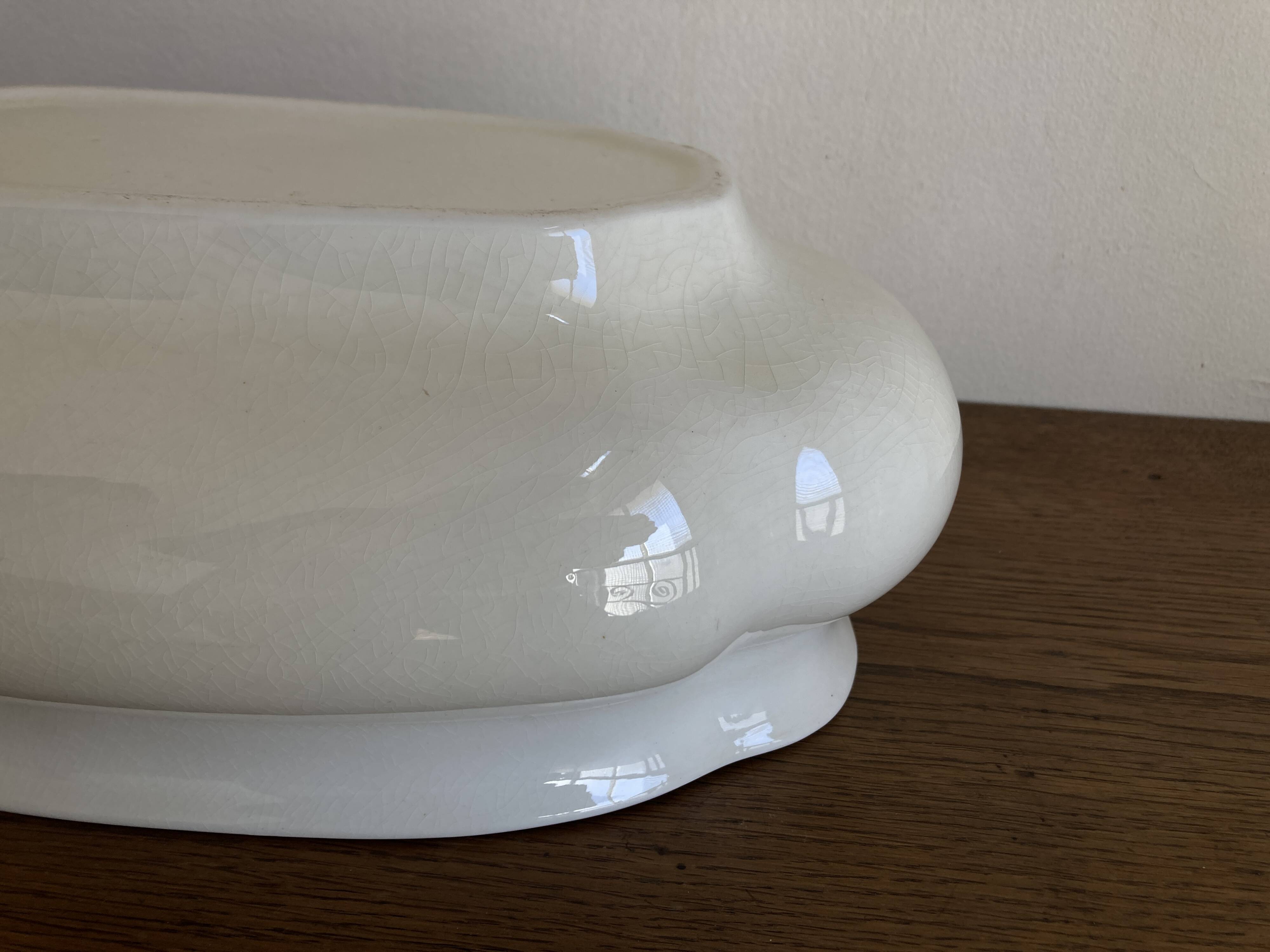 Neo-classical planter in ivory earthenware with XXL gadroons, 1950s