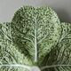 Four-wheeled cup in dabbling, cabbage leaves, Bordallo Pinheiro